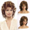 AUBWIG Perruque courte Pixie Cut Layer Fluffy Perruque Naturelle Résistante à la chaleur Synthétique Cheveux Courts avec Frange Marron Mixte Blond clair (Marron Mixte Blond Clair)