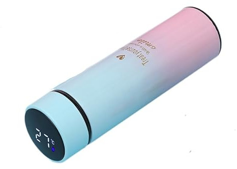 Bouteilles d'eau intelligentes avec affichage numérique de la température, bouteille à infusion de café et de thé, tasse thermique à LED, flacon isolé sous vide à double paroi en acier inoxydable, tas