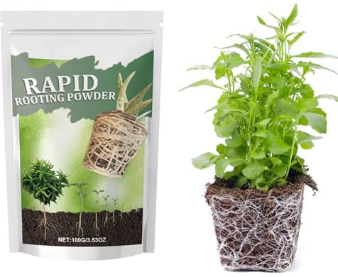 Dayysiuy Bewurzelungspulver | Sukkulenten Wachstumsförderer,Bio Wurzelförderndes Pulver Für Bäumen Pflanzen Sukkulenten
