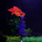 Poisson artificiel en silicone pour aquarium - Haute simulation réaliste - Poisson rouge