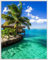 Wallario Wandbild - Karibisches Meer Einsame Hütte unter Palmen in Premiumqualität, Poster mit weißem Rahmen, Größe: 40 x 50 cm