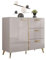 Mirjan24 Kommode Picru 100 1D3SZ, Kombikommode mit 3 Schubladen und Tür, Aufbewahrungsschrank, Mehrzweckschrank für Wohnzimmer, Esszimmer (Cashmere/Cashmere Hochglanz + Gold)