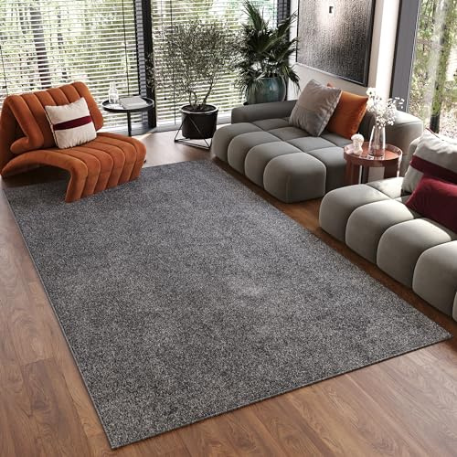 TAPISO Noyan Teppich Kurzflor Antirutsch Grau Dunkelgrau Einfarbig Waschbar Modern Design Waschmaschinenfest Wohnzimmer Schlafzimmer ÖKOTEX 240 x 340 cm