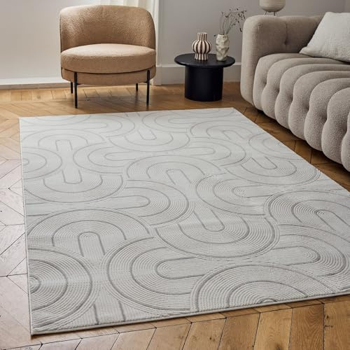 THE RUGS Carmel Modern Area Rug - Stain-Resistant, Non-Shedding, Durable Rugs for Living Room and Bedroom [ Wave Grey, 160x230 cm ]