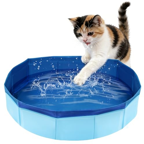 Katzenpool Faltbar Hundepool Klein, Mini Planschbecken für Katzen Pool 50×10cm, Mini Pool für Katzen Hunde Schwimmbecken, Katzenplanschbecken Faltbarer Haustierpool, Welpen Hundeplanschbecken