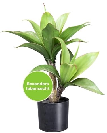 CREATIV green künstliche Agave Pflanze 45cm I künstliche Pflanzen ideal als Zimmer Deko I Pflanzen künstlich mit naturgetreuen & grünen Blättern I hochwertige Deko Pflanzen künstlich mit Topf