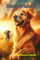 Hundefreunde Freundschaftsbuch: Hardcover
