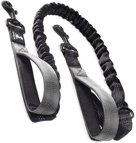SparklyPets Dog Leash for Medium and Large Dogs (Blue)