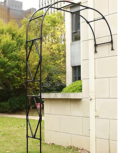 Arche de rose élégante en métal pour décoration de jardin en plein air, demi-arche de jardin, parfaite pour plantes grimpantes et support d'arbre, noir, 280 x 240 cm