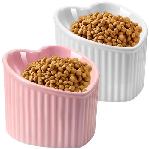 SUNQEBO Elevated Cat Bowls, Raised Cat Bowl for Indoor Cats, Cute Heart Ceramic Tilted Puppy Food Set Supplies Whisker Friendly Anti Vomit, White+ Pink