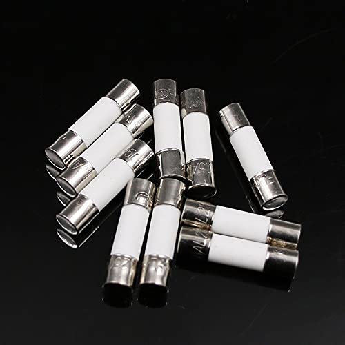 ZXTIIEUF Sicherungsautomat 100 Stück Keramiksicherung 5 mm x 20 mm träge T 0,5 A 1 A 2 A 3 A 4 A 5 A 6 A 8 A 10 A 13 A 15 A 20 A 30 A 250 V Sicherungsautomat Auto(2A 100pcs)