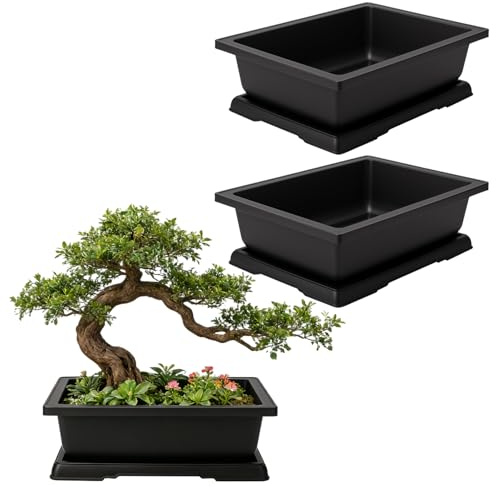 MAHIONG 3 Stück Bonsai Topf, Bonsai Schale 36 x 26 x 10,6 cm Kunststoff rechteckig mit Untersetzer, Pflanzschale für Innenbereich Außenbereich