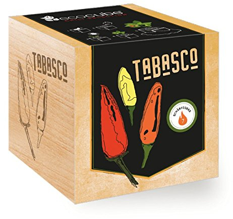 Chilipflanze 'Tabasco' im Holzwürfel - Chili Selection