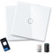 Aigostar - Interruttore a parete WIFI con pannello in vetro touch screen a 1 interruttore, color Bianco. Compatibile con ALEXA e GOOGLE HOME, controllo vocale e funzione Timer. Confezione da 2 pezzi