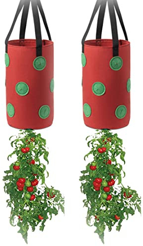Ulalaza 2 STÜCKE 13 Löcher Erdbeersäcke mit Löchern an der Unterseite Hängende Pflanzsäcke Erdbeere Hängende Pflanzsäcke 3 Gallonen 20 cm * 35 cm / 7,8 Zoll * 13,7 Zoll