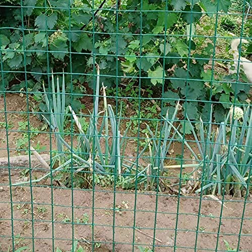 HDJDCBCV Chicken Wire， Wire Mesh Fence, PVC Coated Fence Mesh Roll 1.2M X30M Mesh Hole Spacing 6Cm, for Vegetable Animal Barrier,Soft plastic,2.0MM