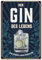 LANOLU Kühlschrankmagnete lustig- Gib deinem Leben Gin - lustige Magnete mit Sprüchen und witzigen Motiven 8x5,5cm