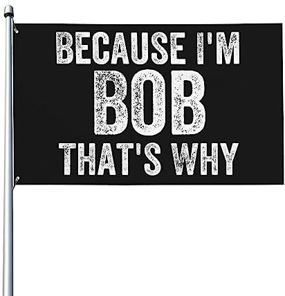 Flagge „Because I’m Bob That’s Why“, lebendige Farben, UV-beständig, perfekt für den Innen- und Außenbereich, Heimdekoration, 90 x 150 cm, einseitiges Polyester-Banner mit Messingösen