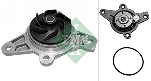 INA 538 0408 10 Coolant Motor