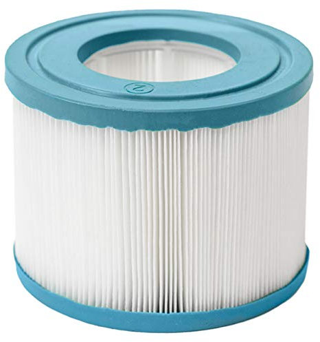 CosySpa Filtri di Ricambio per Vasche Idromassaggio - Cartuccia Filtri di Ricambio a Vite o Standard | Pacco da 1,6 o 12 | (Standard, Pacco da 1)