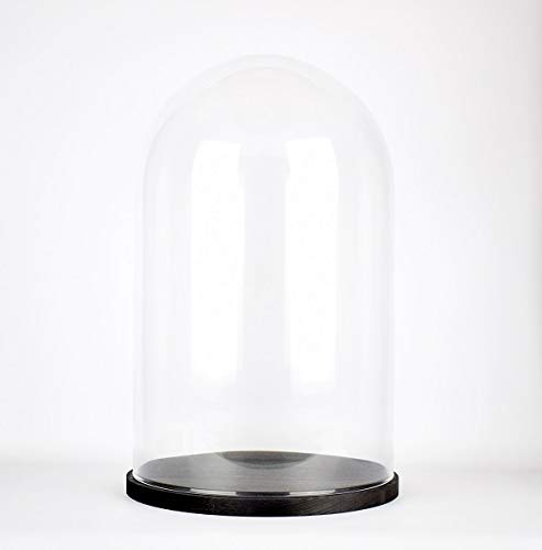 EMH Cloche en verre transparent soufflé à la bouche avec base noire 40 x 25 cm
