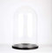 EMH Cloche en verre transparent soufflé à la bouche avec base noire 40 x 25 cm