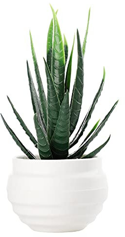 MSUIINT Plantes succulentes artificielles, 2 pièces de fausses plantes grasses sans pot, plantes succulentes à l'aloe vera texturé, Vert, 1 pièce