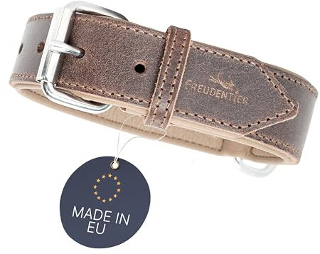 FREUDENTIER Hundehalsband aus zertifiziertem Leder - Gepolstert & super komfortabel - Made in Holland - Hunde Halsband inkl. Geschenksäckchen - Amstelpark Kollektion (51.5-61.5cm, Dark Chocolate)