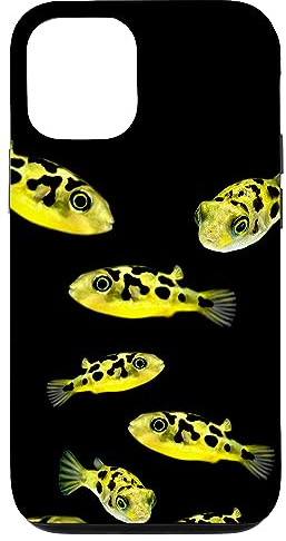 Hülle für iPhone 15 Pea Puffers Pufferfish Aquarium Liebhaber Design
