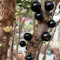 200 pz Semi di Jabuticaba - Alberi da frutto colonnari, piante resistenti all'inverno per balconi Plinia cauliflora Semi di frutti brasiliani piante in vaso di frutta fresca resistenti