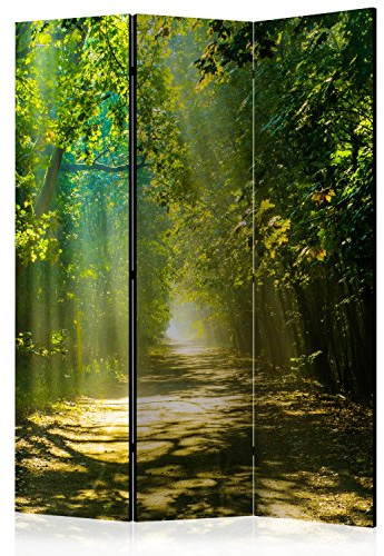 RAUMTEILER/PARAVENT B&D XXL - Wald Natur, 135x172 cm, 3-teilig, Wohnzimmer | Mobiler Sichtschutz, sofort einsatzbereit, Holzrahmen, ideal fürs Wohnzimmer oder Büro, geruchsneutral, lichtbeständig