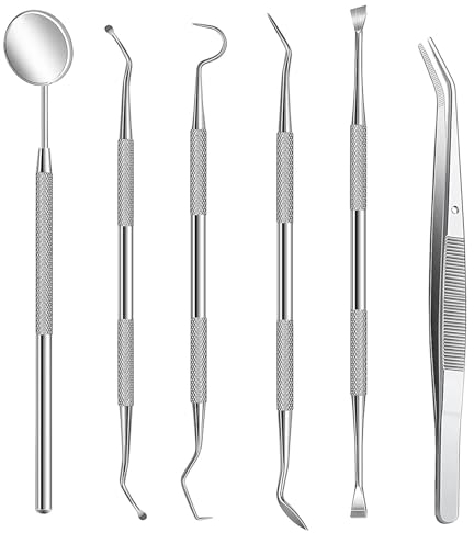 Kit de limpieza e higiene dental de acero inoxidable premium (6 Piezas)
