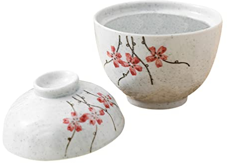 PAREKS French Onion Soup Bowls 1 Set Chawanmushi Cups with Lids Personal Stew Pot Ceramic Birds Tonic Cup Small Steam Soup Bowl Dessert Cup for Home Kitchen Restaurant French Onion Soup Bowl