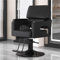 HJDSUDU Friseurstuhl, Friseurstuhl mit Hochleistungs-Hydraulikpumpe, höhenverstellbar, 360° drehbar, Spa-Schönheitsausrüstung, Make-up-Friseursalonstühle,L