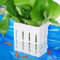 Borlech Aquarium Pflanzenhalter für Aquarium Aquaponic Pflanzenkultur Hängender Halterung und Aquascape Dekorationen Pflanztopf Zubehör (Weiß)