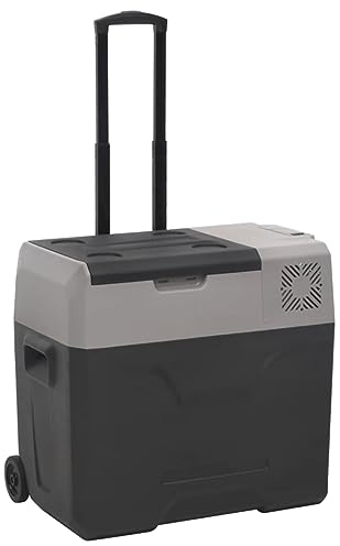 GuyAna Nevera con Ruedas y asa Polipropileno Negro y Gris 30 L Hielo Nevera Portatil Nevera PequeñA Portatil