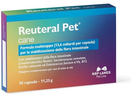 NBF Lanes | Reuteral Pet Cane, 30 Capsule, Probiotico a base di fermenti lattici vivi per la stabilizzazione della Flora intestinale nei Cani