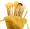 Makeup Brushes Set 13PCS Professional Make Up Brush Set with Super Soft Brushes Head Premium Foundation Brushes Cosmetic Brushes Kit for Eyeshadow Eyebrow with Storage Bag (Yellow)