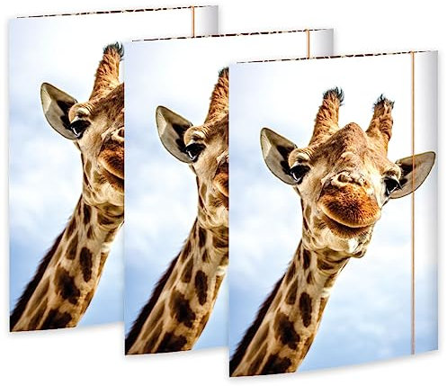 RNK 45359-3 - Zeichenmappe Safari 310 x 440 mm, 3 Stück, DIN A3, mit Gummizugverschluss