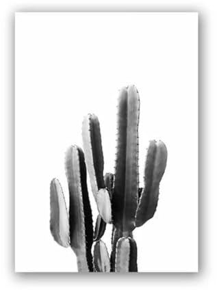 Toile De Peinture De Cactus Noir Et Blanc, Affiche Botanique, Imprimé D'Art Mural Boho, Plantes Succulentes, Décoration Nordique, Image, Décor De Maison 21X30Cm Sans Cadre