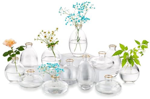 Glasvase für Tafelaufsätze: 12 Stück, Glasseam mit Goldrand, Mini-Vasen für Blumen, Großpackung, Blumenvasen-Set, ästhetisch, niedlich, handgefertigt, klein, kurz, Hochzeitstischdekoration,