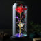 Veryhome Mothers Day Flowers Gifts Rose Gifts for Her Preserved Flowers Women Galaxy Rose Rainbow Light Up Flowers in Glass Dome Christmas Decoration for Valentine's Day Anniversary Mother's Day