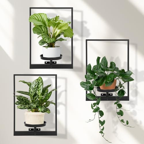 storenization Wand-Pflanzgefäße für Zimmerpflanzen, Fenster-Pflanzenregale, 3er-Set, Wand-Pflanzenständer für Zimmerpflanzen, Premium-Metall-Pflanzenhalter für Innen- und Außendekoration