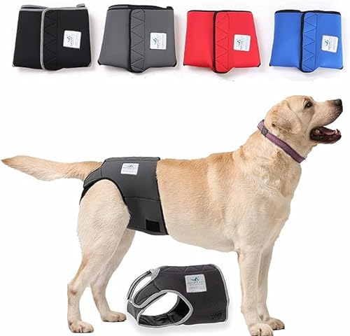 Nature Pet Läufigkeitshose für Hündinnen - Hundewindel für Rüden - Kein lästiges Einfädeln der Rute - Inkontinenz Hundehöschen (XS-L-Blau)