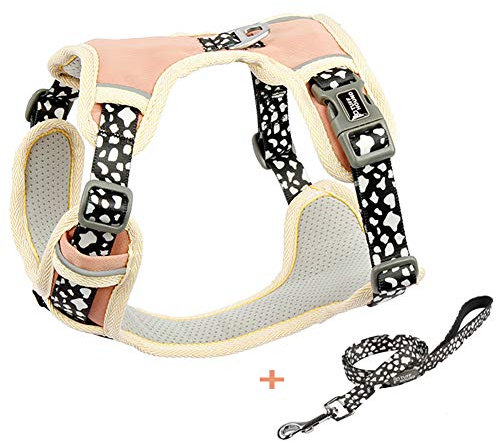 Hmpet Harnais en Nylon pour Chien Pas de Traction, Ensembles de Laisse de Chien Gilet Harnais de Chiot de Bouledogue français, Harnais rembourré Confortable pour Animaux de Compagnie,Rose,L