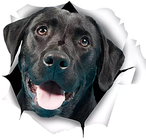 Aublinto Auto Styling Aufkleber,2er-Pack 3D Hund Aufkleber Auto Dekorativer Aufkleber Wasserdichter Aufkleber Schwarze Labrador Aufkleber für Auto Wand LKW Stoßstange