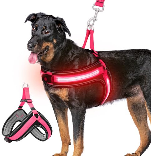 BiPawTi LED Hundegeschirr für Kleine Hunde, 3 Lichtmodi Beleuchtetes Leuchtgeschirr Hund Aufladbar, Leuchtet Im Dunkeln Leuchtendes Geschirr für Nachtspaziergänge, Camping mit Hund - Rosa (Rotlicht)