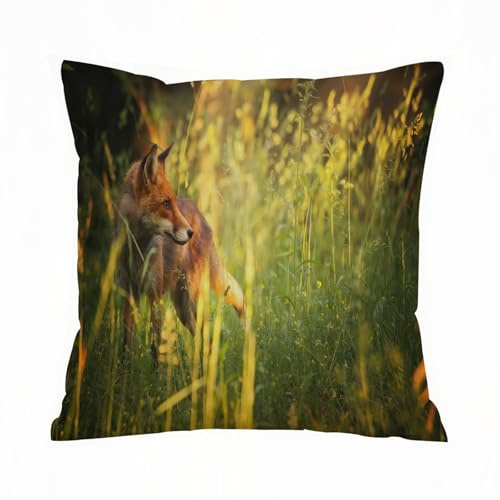 ERRTU Kissenbezug 50x50 cm,Abwaschbare Tischsets, Fuchs Fuchs im Sommerwald frische Wiese gra,Dekokissen Kissenbezüge Deko Kissen Bezug Wohnzimmer Zierkissen für Sofa Stuhl Bett Garten