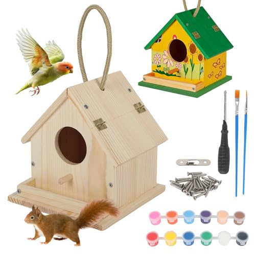 Wooden DIY Bird House Kit, Hanging Birdhouse Arts and Crafts for Adults to Build and Paint, Including Paints and Brushes, Outdoor Craft Set for Garden, Ecological Bird Protection (Style 1)
