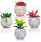 SAJANDAS Lot de 4 Petites Plantes succulentes artificielles Vertes et Roses à l'intérieur dans des Pots à Motif marbre, Pots en céramique colorés pour la Maison, la Salle de Bain, Le Bureau